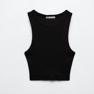Zara Ripped Crop Top